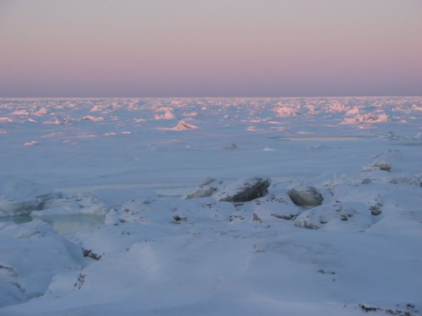 20100201203046_26janvier2008_0005