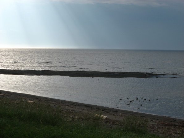 20100201212044_piedsdevent_0007