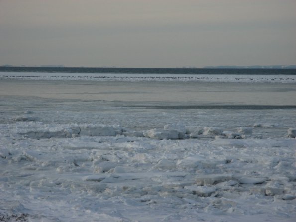 20100208143141_img_0001_1