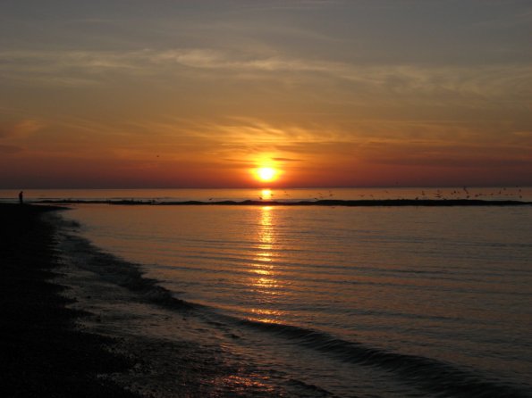 20100403190347_img_0001