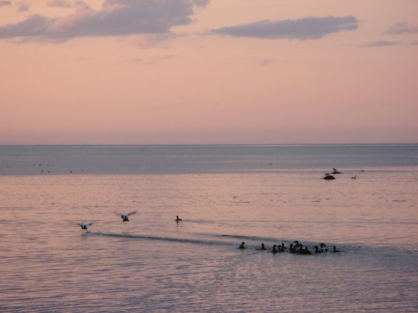20100605121358_img_0001_1