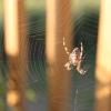 20100725115307_img_0061