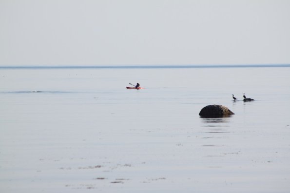 20100815174855_img_0285