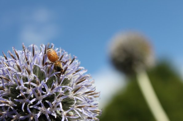 20100817200453_img_0638
