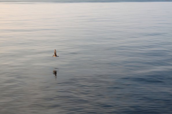 20100831214747_img_1086