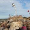 20101113135736_img_1766