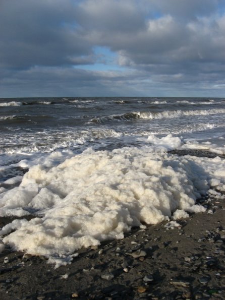 20101121150706_img_1533