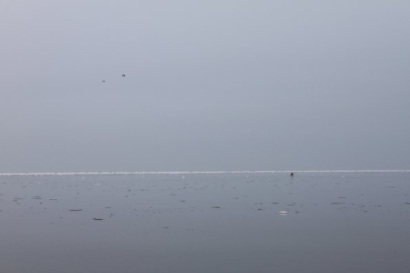 20110101162734_img_2179