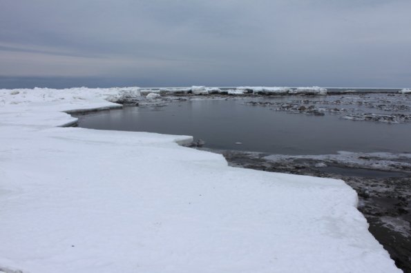 20110205143129_img_2333