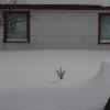 20110212223118_img_1936