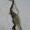 20110217181457_img_1966