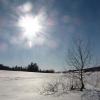 20110223172621_img_2089