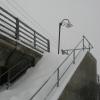 20110305175539_img_2178