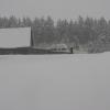 20110305180250_img_2187
