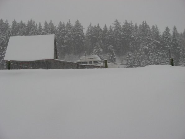 20110305180250_img_2187