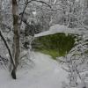20110306164019_img_2204