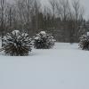 20110306164238_img_2215