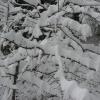 20110306165708_img_2237