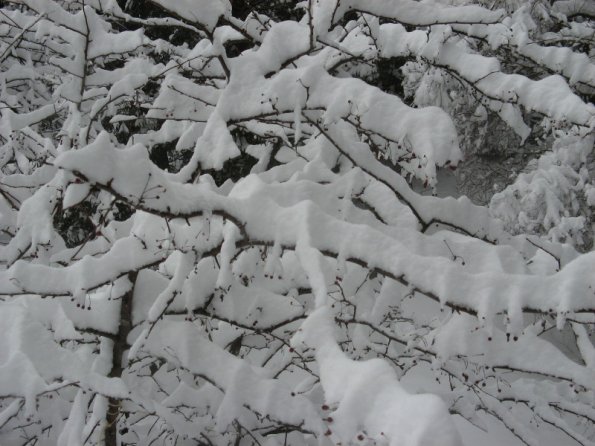 20110306165708_img_2237