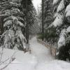 20110306170629_img_2233