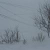 20110307115104_img_2301