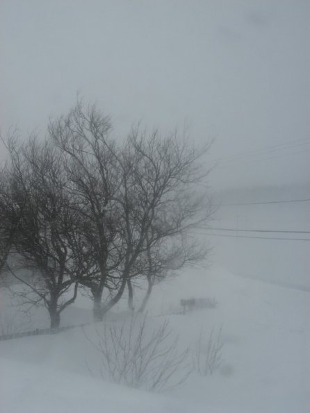 20110307155227_img_2341