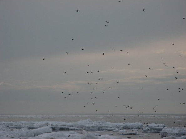 20110312174222_img_2394