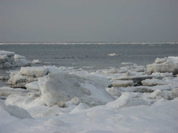 20110312174603_img_2389