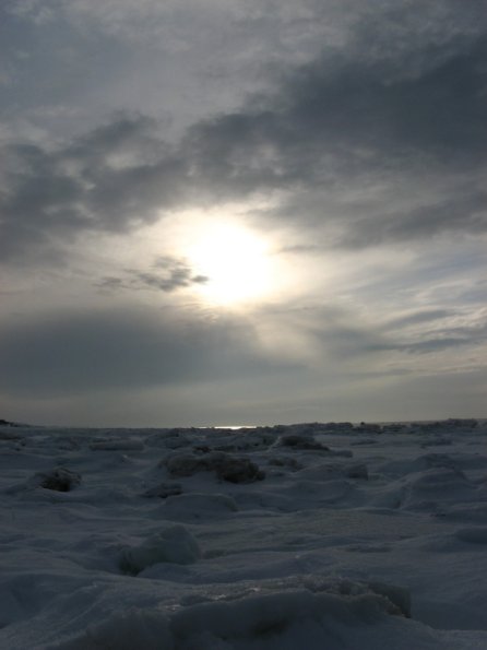 20110312175943_img_2376