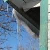 20110329204216_img_2427