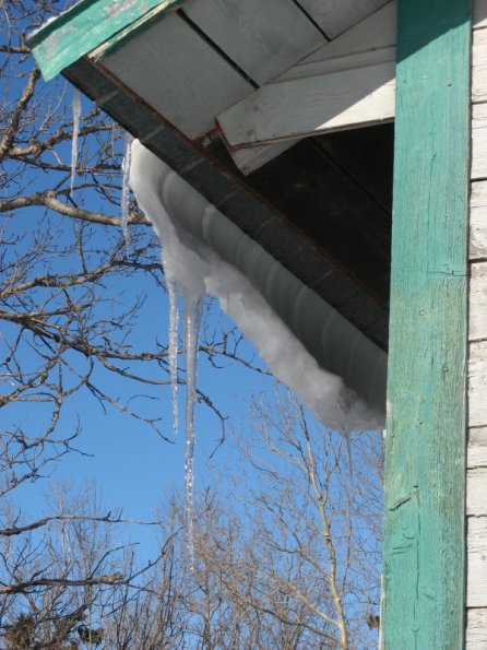 20110329204216_img_2427