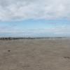 20110416085259_img_2777