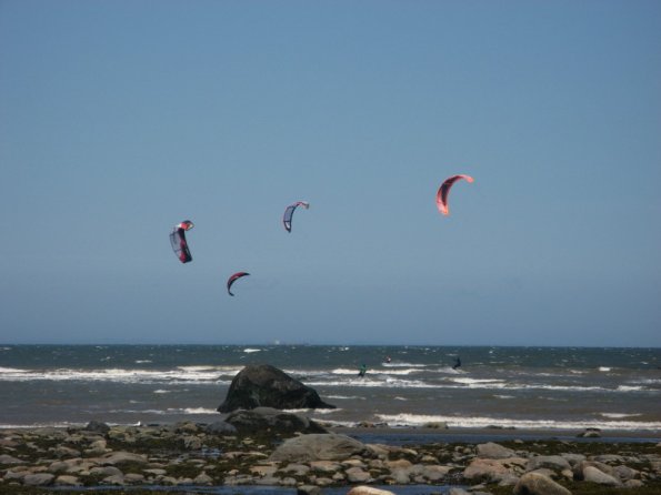 20110521114317_img_2553