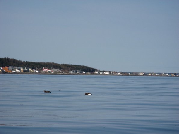 20110522095156_img_2576