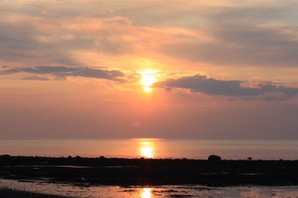 20110615203835_img_3224