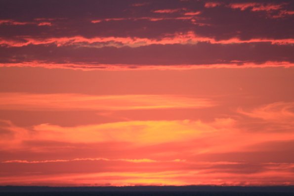 20110704200035_img_3481