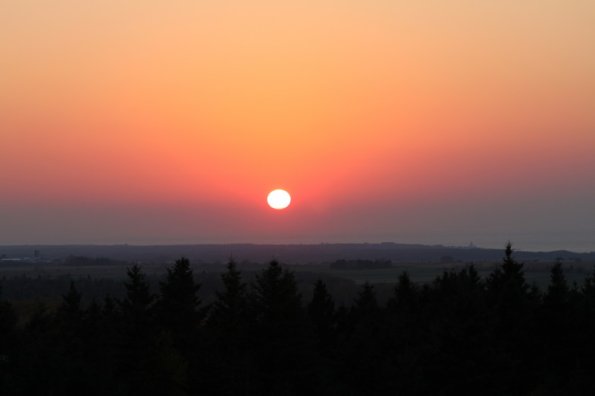 20111010184736_img_5039