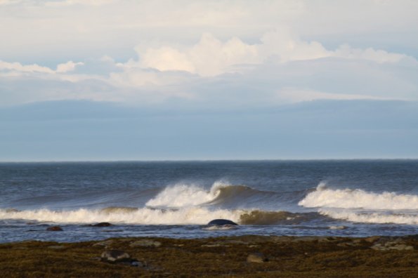 20111015095044_img_5118