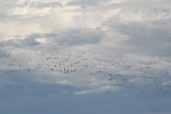 20111015095909_img_5157