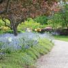 20120604160918_img_5686